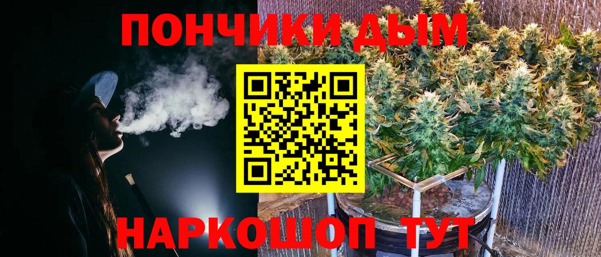 Конопля сатива  Вход с VPN  Ставрополь  Конопля индика 