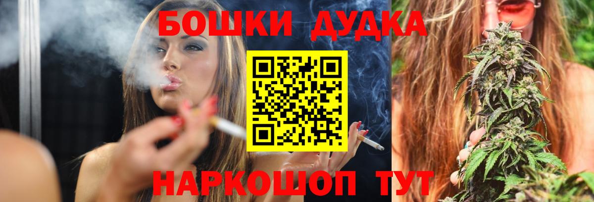 Конопля план Ставрополь
